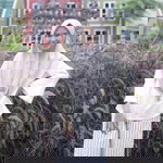 Amelia Ayuni profile icon