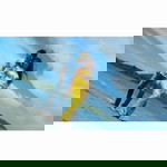 Paulina Inri profile icon