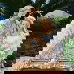 Ellen Salvador profile icon