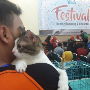 Andri Kurniawan profile icon