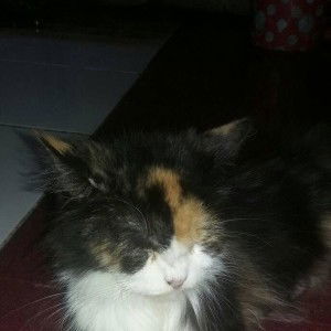 Yanti Andesti Yanti Andesti profile icon