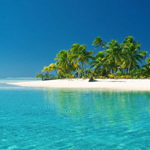 Frida Tieti profile icon