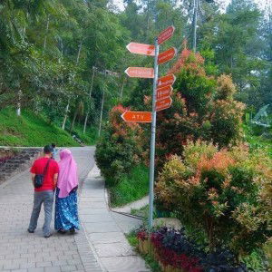 Cicih Nuamoorea profile icon