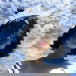 Loser profile icon