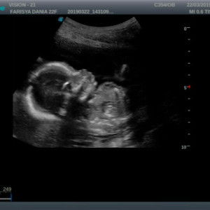 Farisya Dania profile icon