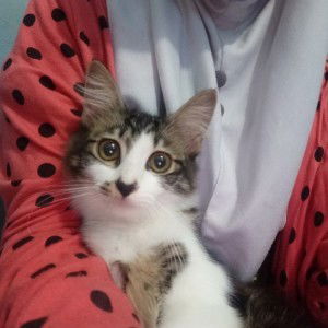 Haimania Nia profile icon