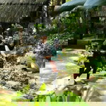 ani nuraini profile icon