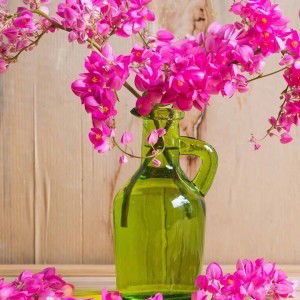 n'Wasti Abit profile icon