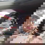 Santi Puspita profile icon