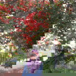 Nisa Mujahidah profile icon