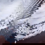 Ainilfitri profile icon