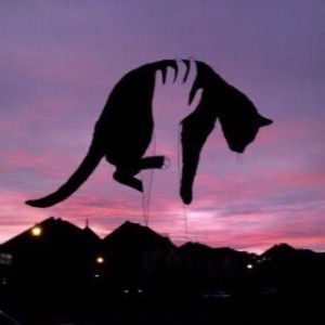 Raven Ace profile icon