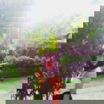 Mich Alojan Esnardo profile icon