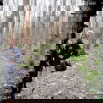 anisdewi susilawati profile icon