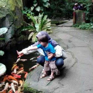 Mashi Qurratuaini profile icon