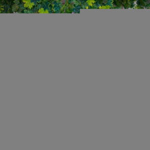 Lisna Anindra profile icon