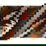 Chalita Kewvilai profile icon