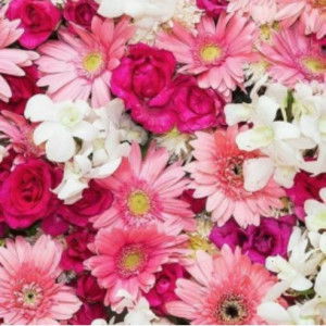 fdla azmn profile icon