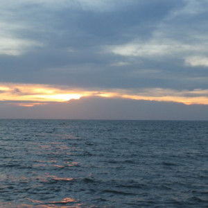 Jim Kazama profile icon