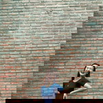 Stephanie Casamayor Santos profile icon