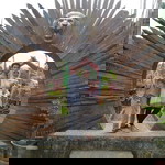 Putri Handayani profile icon