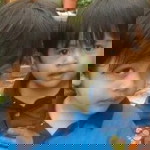 Adik Comei profile icon