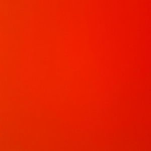 Stace B profile icon