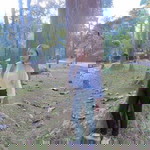 Nook Nook profile icon