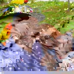 Princess Kayangan profile icon