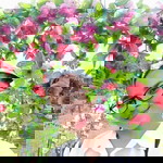 Richelle profile icon