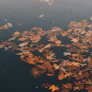 Painem Yo profile icon