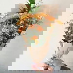 Nashron Suheb profile icon