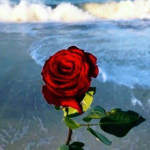 Yati WS profile icon