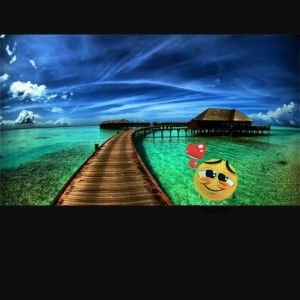 Nafeesa Husna profile icon