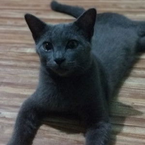 Rusna Wahidah profile icon