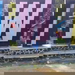 Meta Sari profile icon