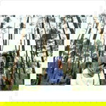 Rizki Febrian profile icon