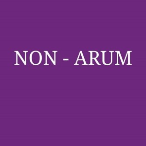 Non - Arrum profile icon