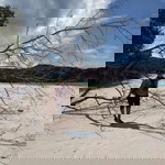 Kristin Bunda'na Dhyo profile icon