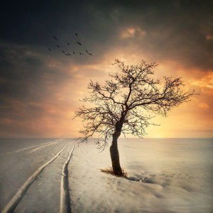 จริยา ฤทธิพรม profile icon