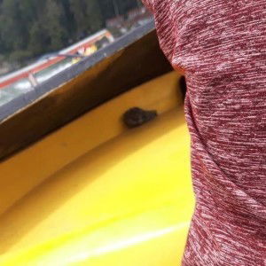 Dilla Fiqih profile icon