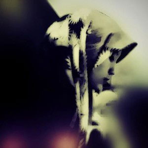 Widad Ali profile icon