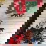 Henii Ariisma Ntu Yosiie profile icon