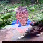 Aniza Adok Pawaki profile icon