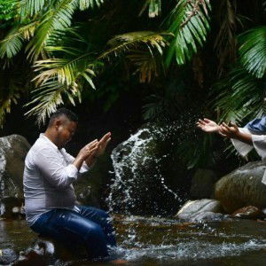 Sandra Wulandari profile icon