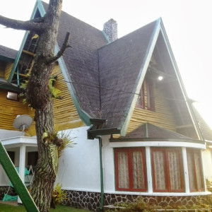 ummu utsman profile icon