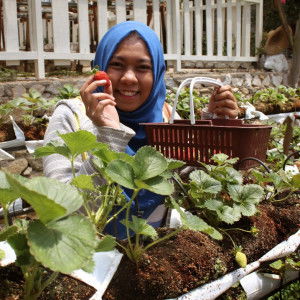 neddy nad profile icon