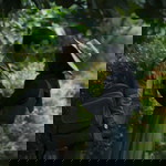 Bebby Juliarahayu profile icon