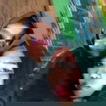 Rizzelda Bella Suwandini profile icon