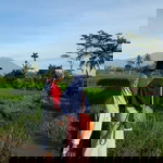 Hamasah Sity profile icon